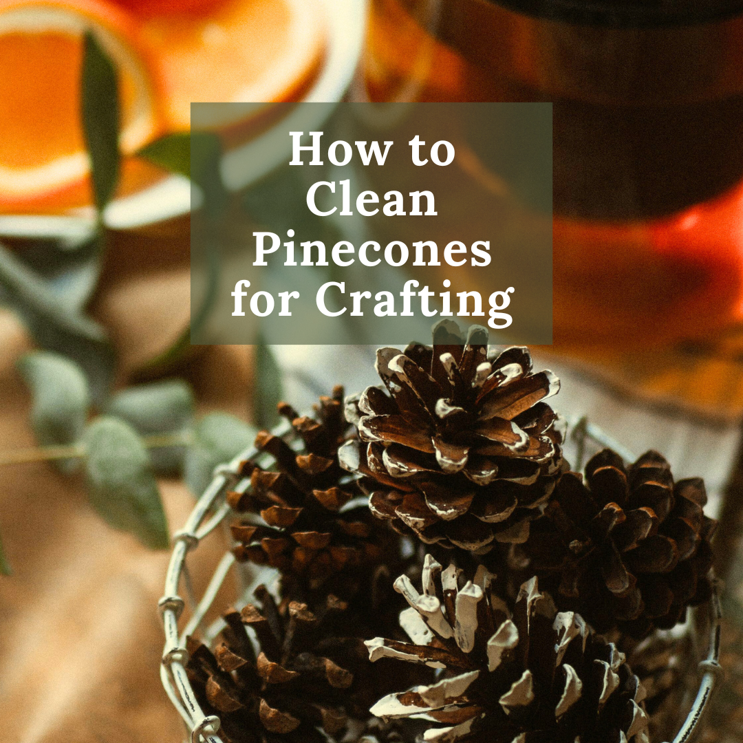 How to Clean Pinecones, Pinecones Craft, Craft with Pinecones, DIY Pinecones