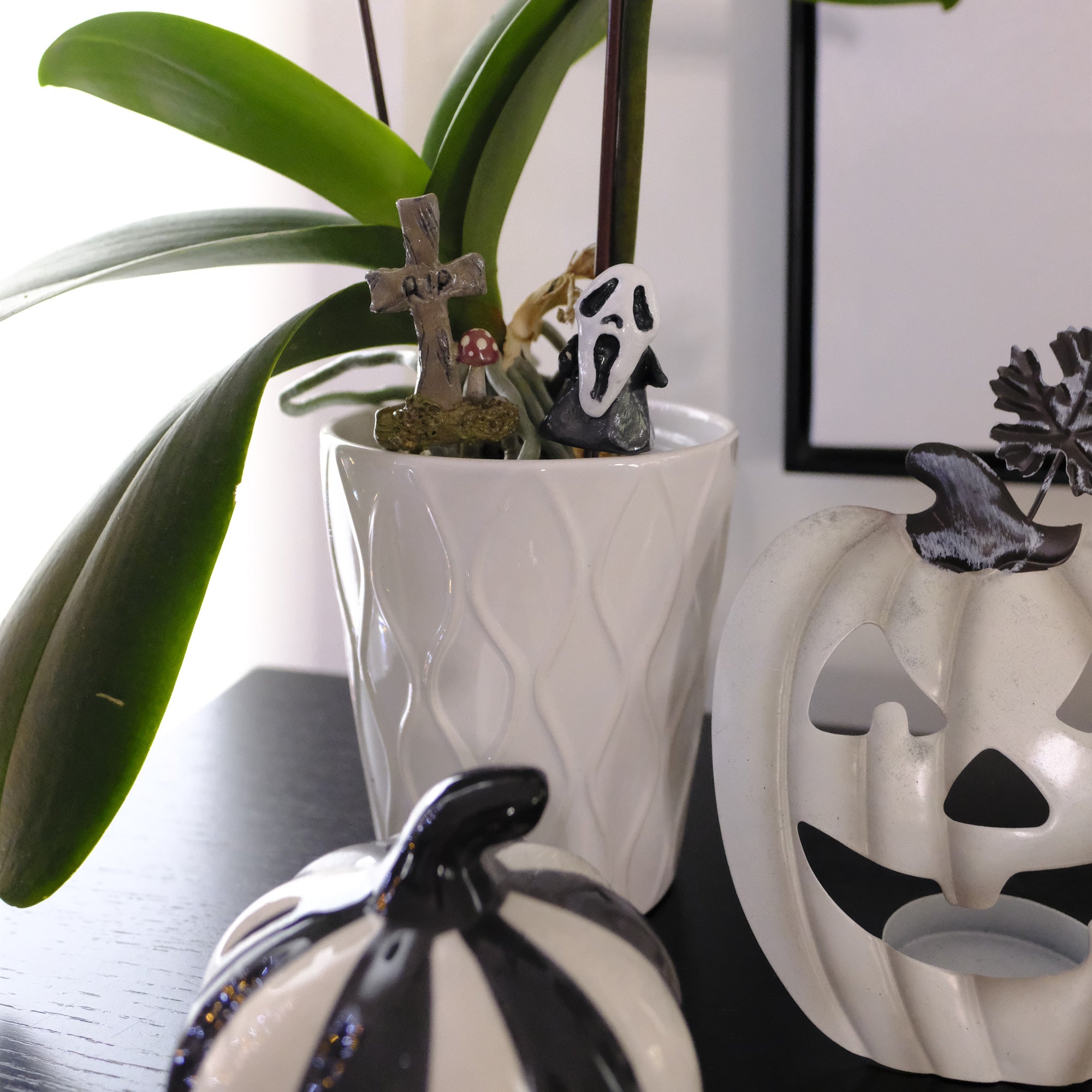 Hailey's Magical Mushroom Creations: A Spooky Surprise for Halloween